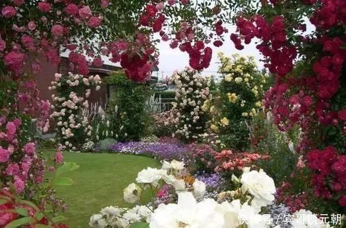 7个绝美花园,个个美炸了天,等有钱了我也要建一个