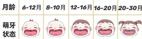 乳牙|宝宝出牙时间暗示健康状况,出牙晚不一定缺钙,父母越早知道越好