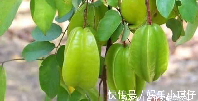 食物|预防身体变老，坚持多吃的食物，让肌肤变得滋润、有光泽，更年轻