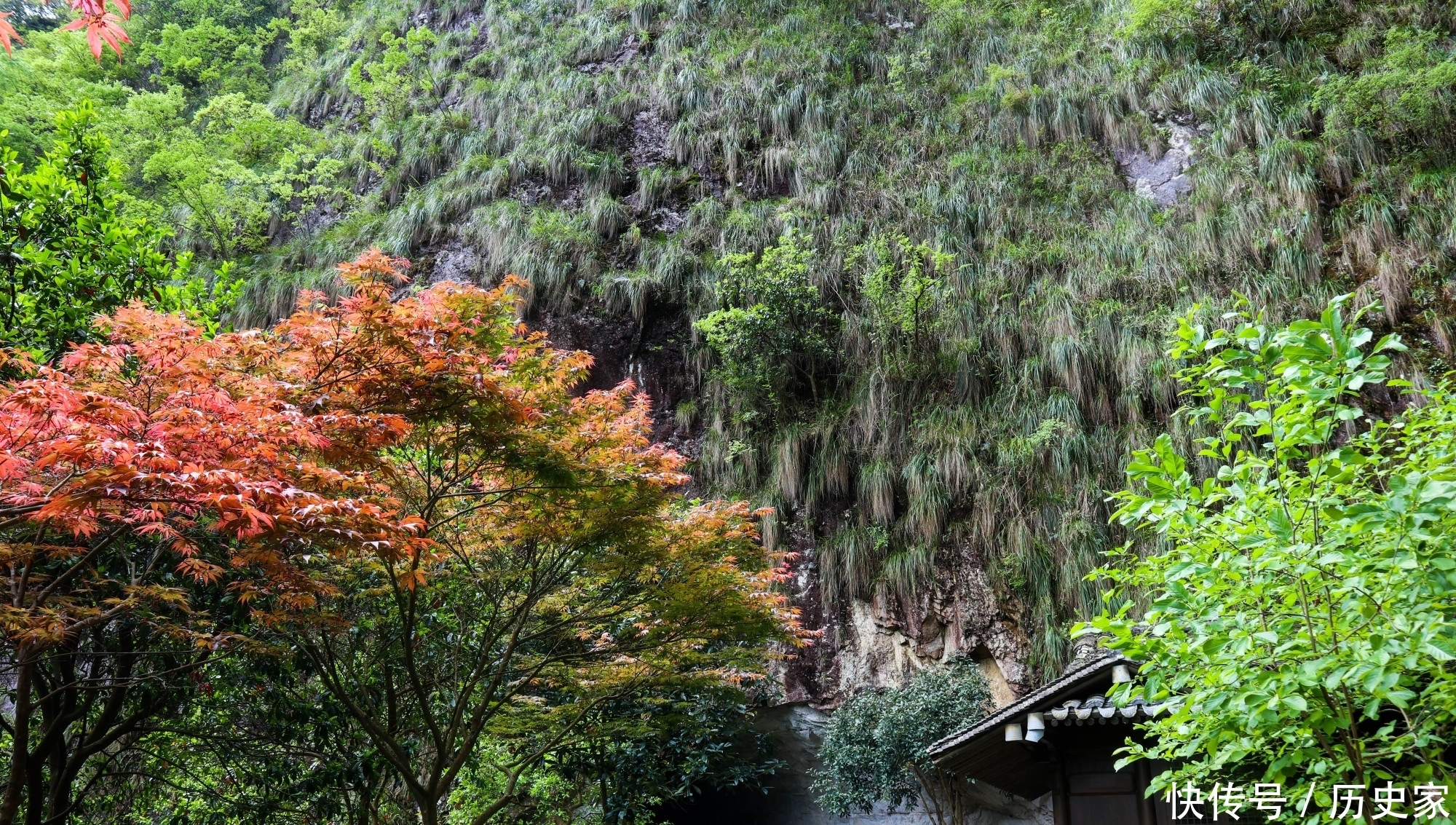 静穆|如画美景楠溪江，绝美花道花团锦簇，芙蓉古镇静穆安宁