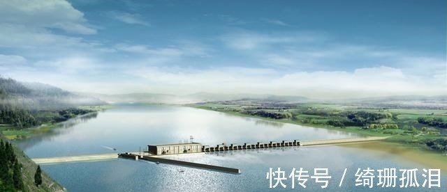 渔民捕到“天价鱼”卖出347万高价，一夜暴富，是什么鱼呢