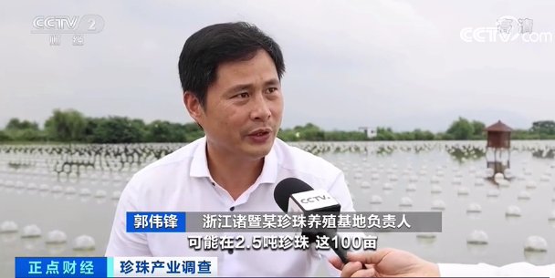 珍珠蚌|“新晋网红”来了，这个产业火了