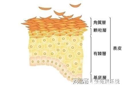 做完超声刀可以洗脸吗,怎样保养错了抓紧改正~