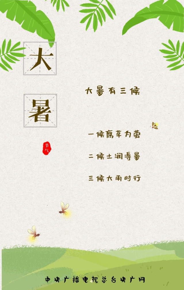 炎暑|大暑来了!炎暑有尽,时光无垠