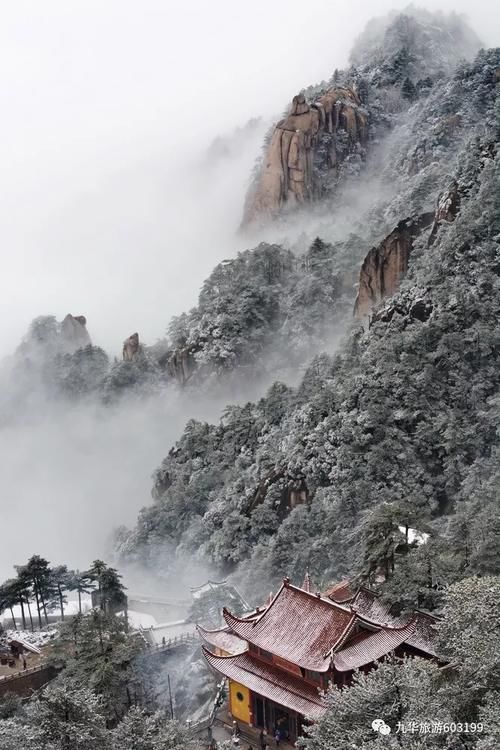 九华山|丁真的世界，九华山都有！