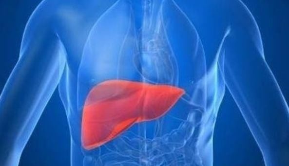 坚持一个月不喝酒,能给身体带来这3大“改观”,你感觉到了吗