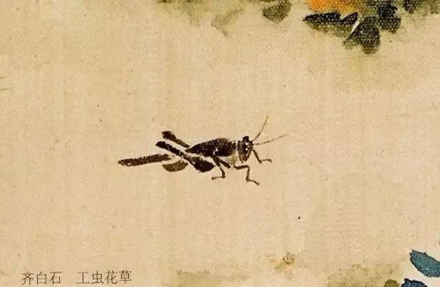 蝈蝈$国画技法图典——草虫篇:蝗虫 蚂蚱 蝈蝈 螽斯 螳螂 蟋蟀