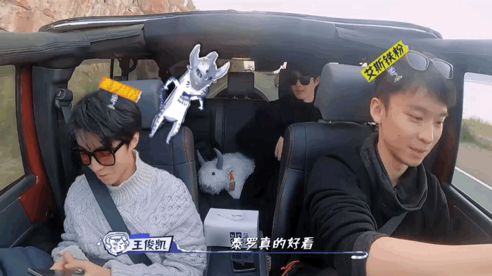 恰好是少年|被《恰好是少年》狂圈粉，這是什么神仙綜藝？