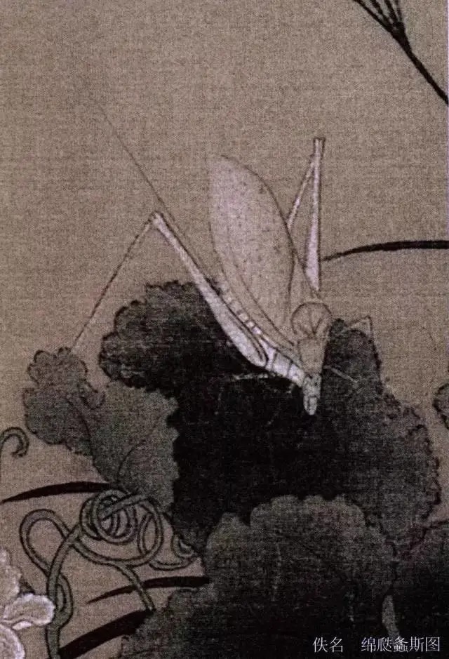 蝈蝈$国画技法图典——草虫篇:蝗虫 蚂蚱 蝈蝈 螽斯 螳螂 蟋蟀