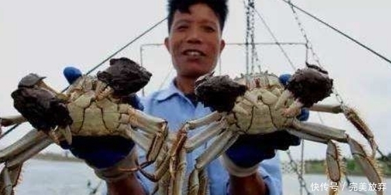 块钱|德国人到中国吃大闸蟹,吃完两盘丢下100块钱就走,老板你干嘛