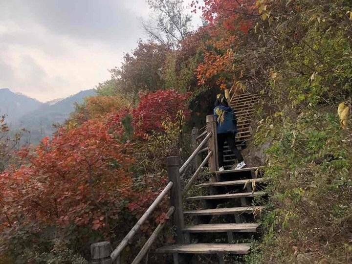 九如山|四季飞瀑九如山