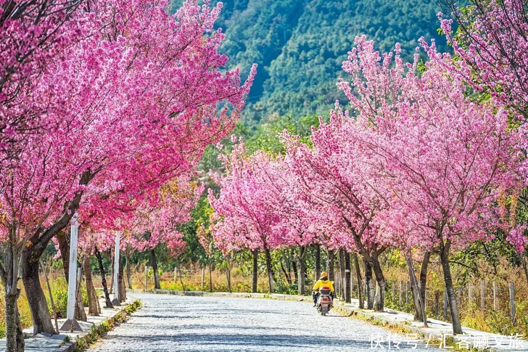 老年|带上这份7天攻略，去大理度个假吧！