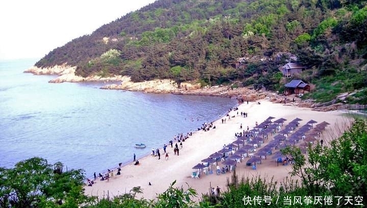 凤凰树|属于夏天的凤凰树