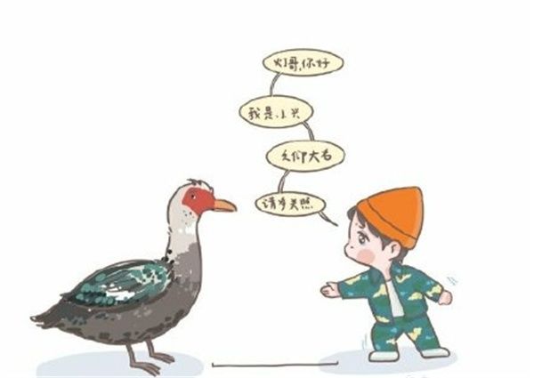 张艺兴，风里雨里，尼古拉斯·灯在《向往的生活》第五季等你