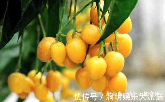 化痰平喘|天然的“止咳药”找到了,每天一碗,化痰平喘,比吃止咳药还好!