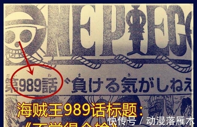 凯多|海贼王989话情报:3个新蛮霸者出现,是贝加庞克的古代巨人族失败品