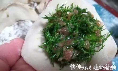 用茴香做肉馅，最忌讳加什么调味品，现在知道还不晚