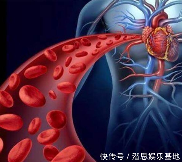 世上本无病,只有“瘀和堵”!2道食疗方,常吃可散瘀活血