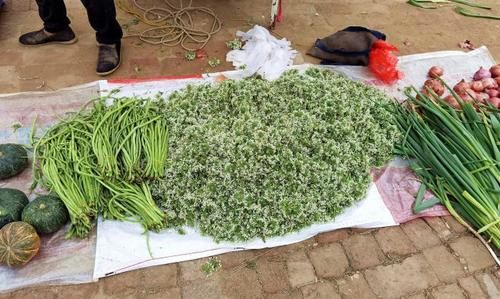 季节性|9月碰到这菜，我准买10斤，营养极高，季节性太强，常吃对脾胃好