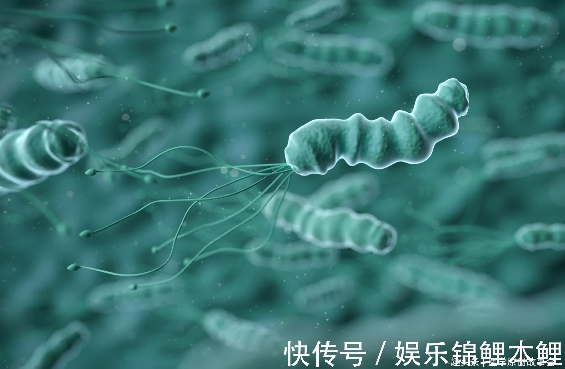 肿瘤院长|晚期癌症只能活活痛死？癌症根本不用治？肿瘤院长讲了九个真相