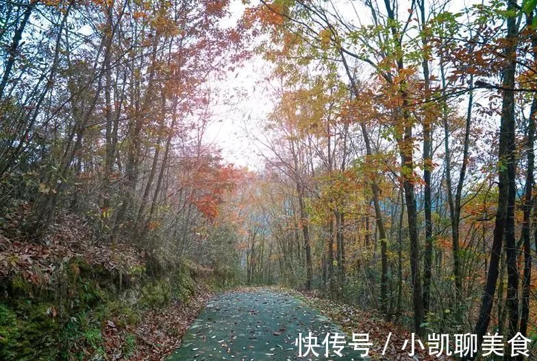 彩林|平武有座山红透了！山上这条云端上的彩林公路秋色如画