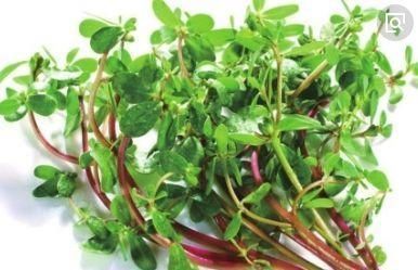 大白菜|这三种长寿菜，每天吃一点，延年益寿、祛病强身，保持年轻态