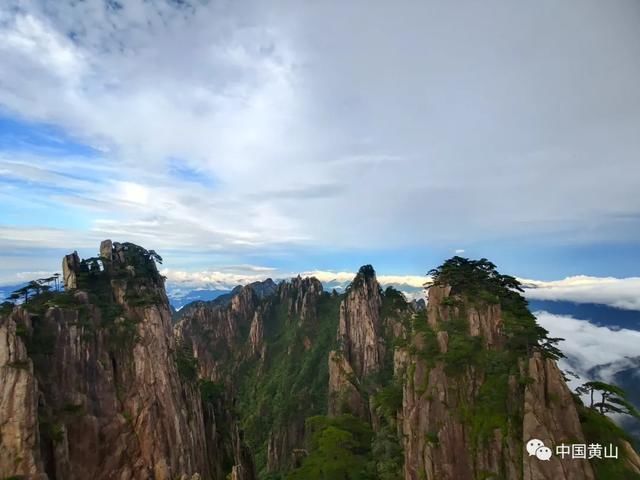 吴立新|云游雨后黄山 美景如画好似仙境