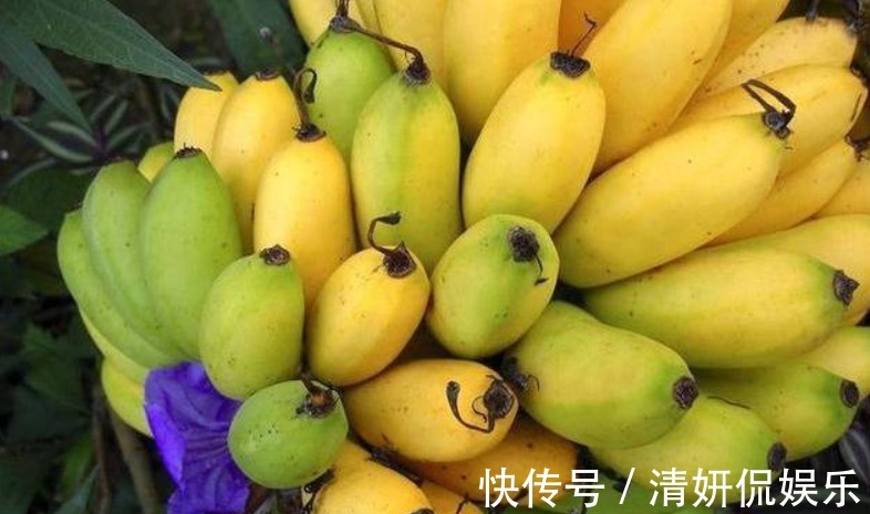 老少皆宜|女性养生先排毒,常吃以下食物,排毒清肠,呵护皮肤,好处多多