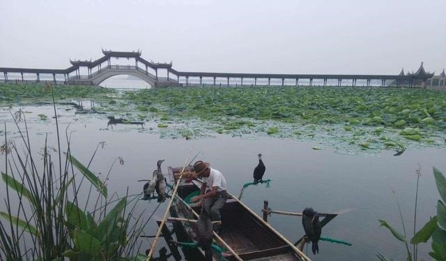 富人|竹苞松茂,百年沧桑此生看;谈古论今,光风霁月福泽长!