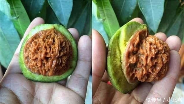 文玩界|"文玩市场上看到这几个摊位,千万不要靠近"