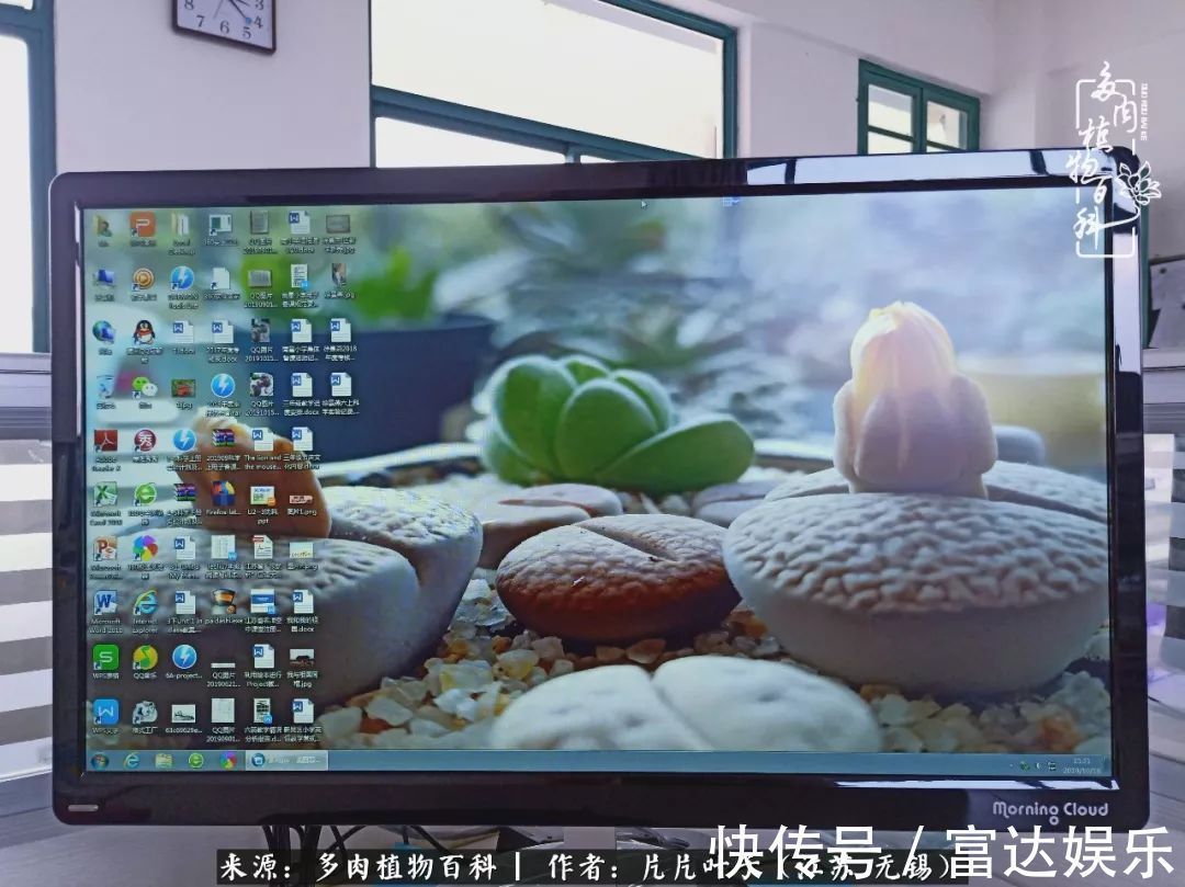 养肉路上，累并快乐着！时光不语，静待花开！