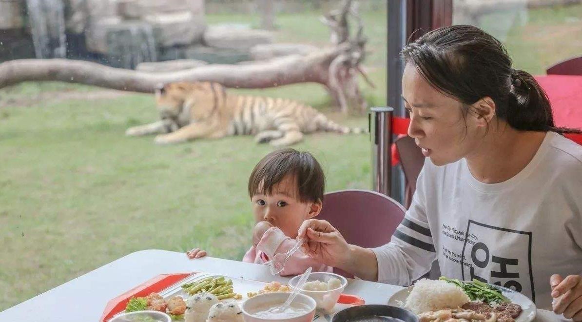 宝妈|宝宝不好好吃饭,那是因为父母没有用对方法,以下4点必须要了解