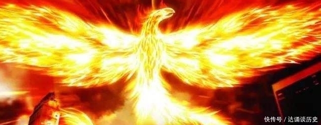 火凤凰|斗罗中仅有的5只凤凰武魂，邪火凤凰垫底，而它的实力超越昊天锤！