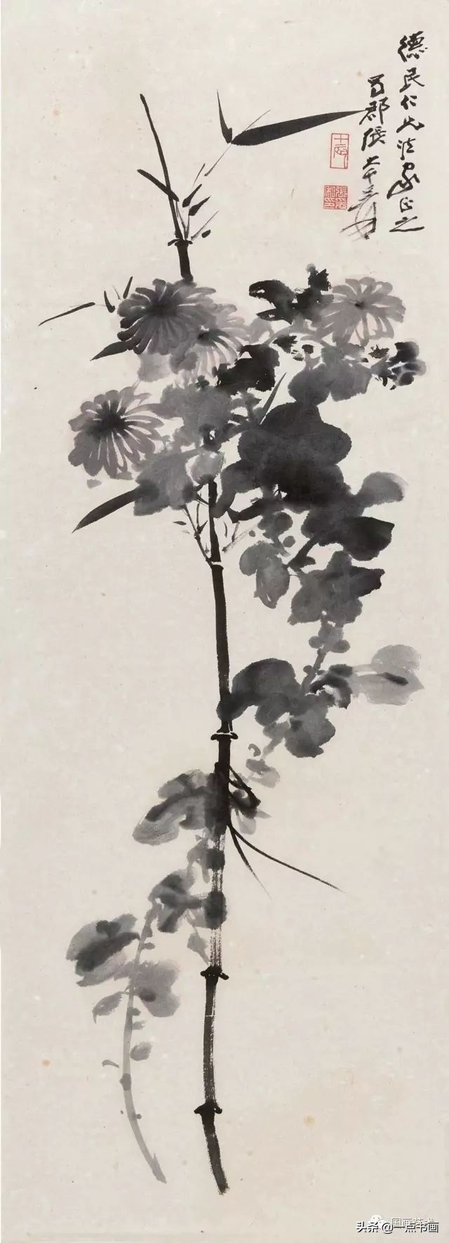 花蒂|张大千论画梅兰竹菊