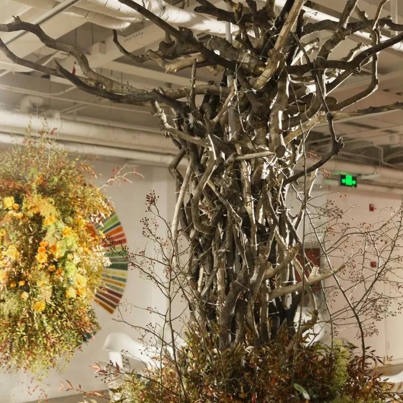 开出|花艺师,让枯萎之物开出花朵