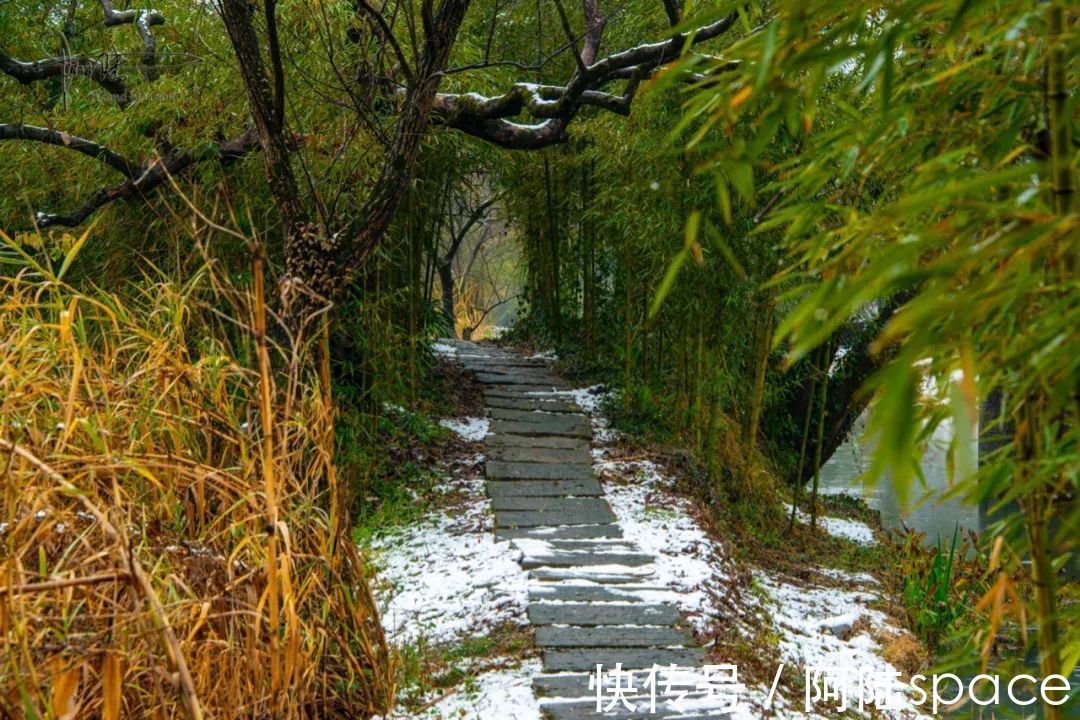 耳听八方|在雨雪天气游玩西溪湿地,风景很美但也要当心这些地方