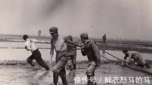 治病$20岁知青张志远为报恩,“嫁”31岁带4娃寡妇留大山,至今不悔