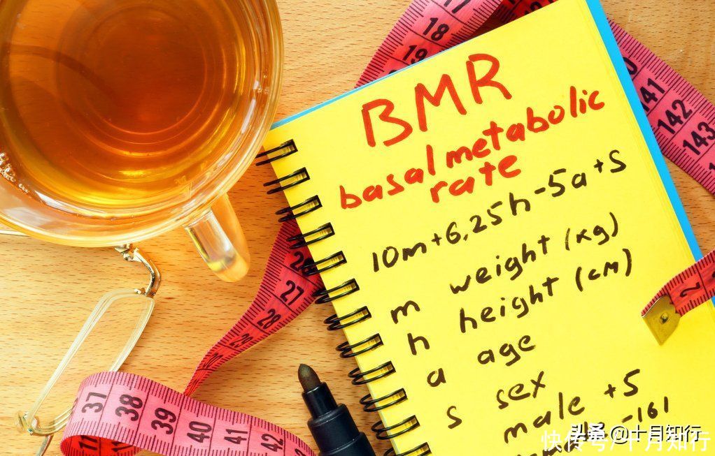 因素|减肥,都想着提高基础代谢,可是你知道哪些因素会影响基础代谢吗