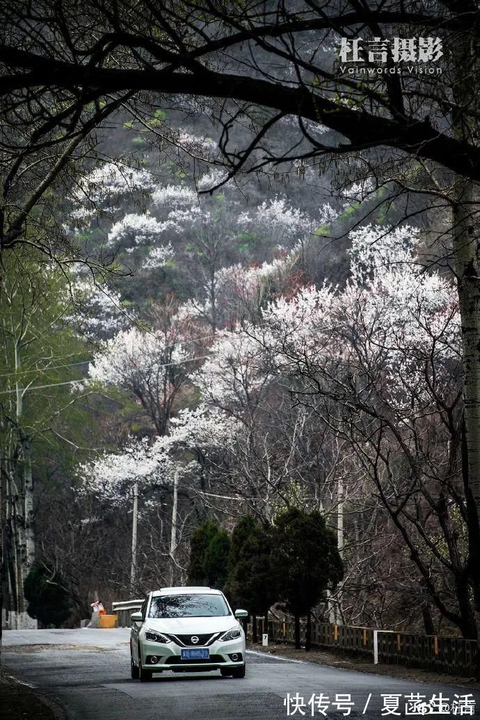 山高林密|别白跑了！蓟州区14家山区景区已全部关闭！