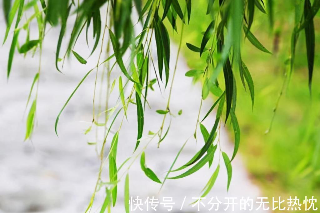 密州|苏轼遭遇双重打击，离开密州时写下《东栏梨花》，写出了人生至理