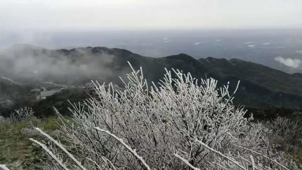 四川|今日立冬，四川这些地方下雪了 ！