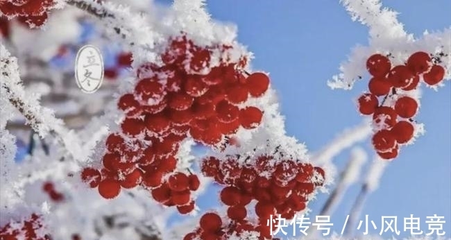 冬天&寒夜煮茗,围炉清谈。宋诗里的冬天温暖美好,是生活不可缺的诗意