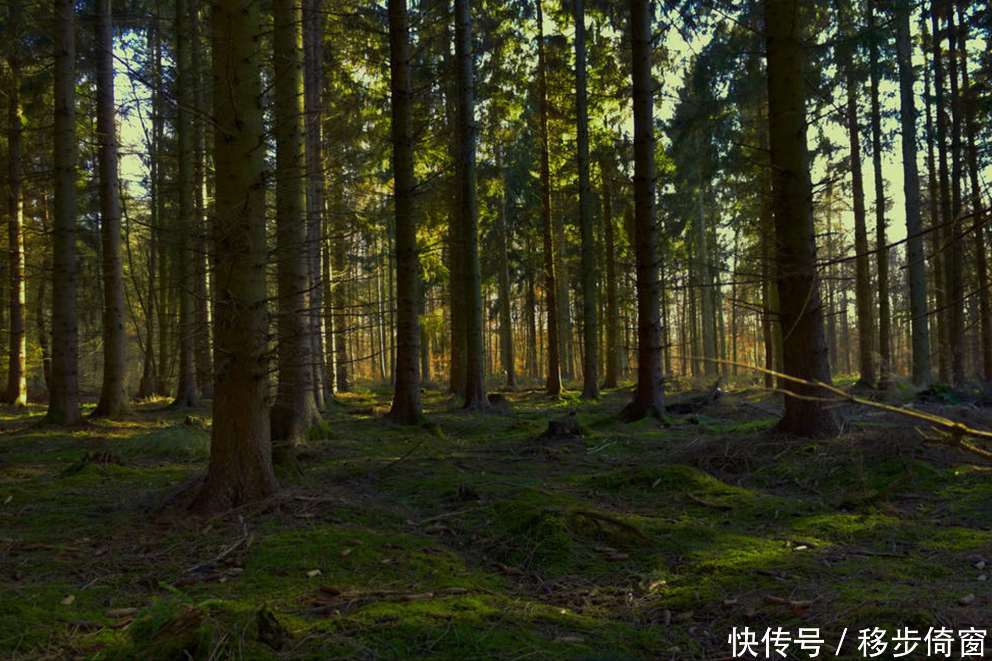 内心|口念佛号不一定就是善人,内心恶毒之人常说这2句话,要小心防备