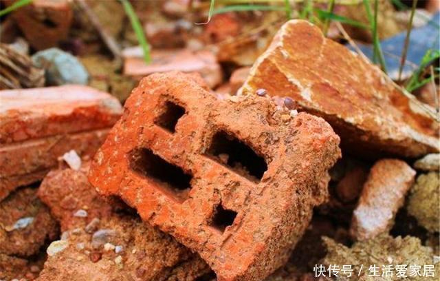 花盆|王大姐养花,在工地捡来3种东西,埋花盆里透气、不烂根