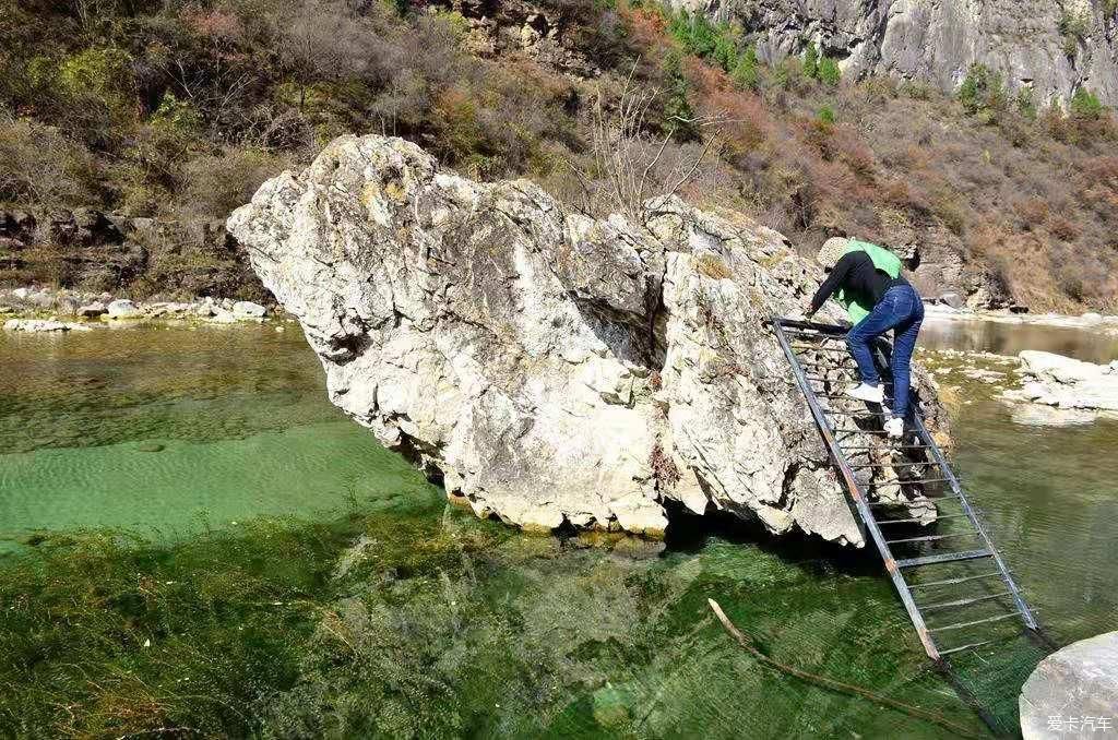 陵川红豆杉大峡谷