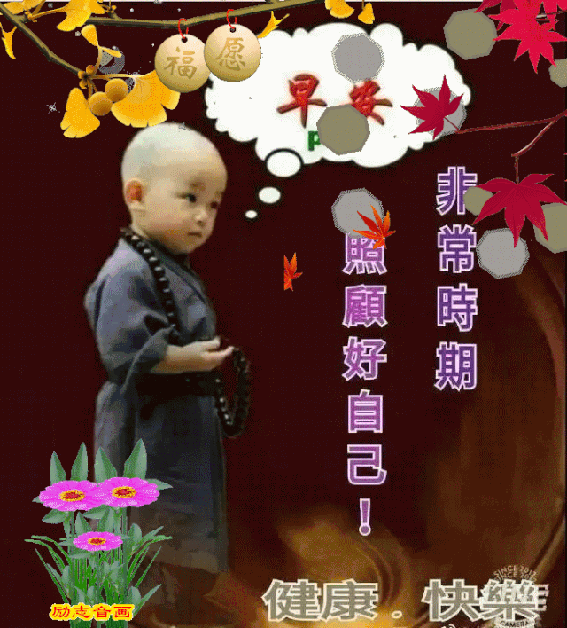 聊天|7张不用打字就可以聊天的动态图片 创意唯美夏日早安问候动画表情图片