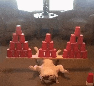 |搞笑GIF: 看着都觉得尴尬 下次就别在这种场合秀身材了