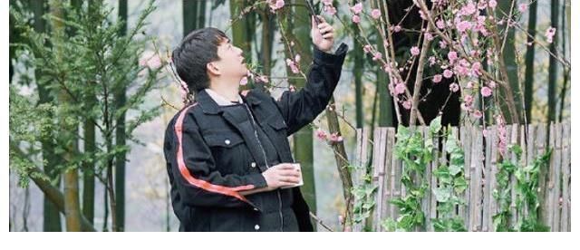 杨紫|向往的生活5:到底有多接地气,看到黄磊做饭的盆,有味道