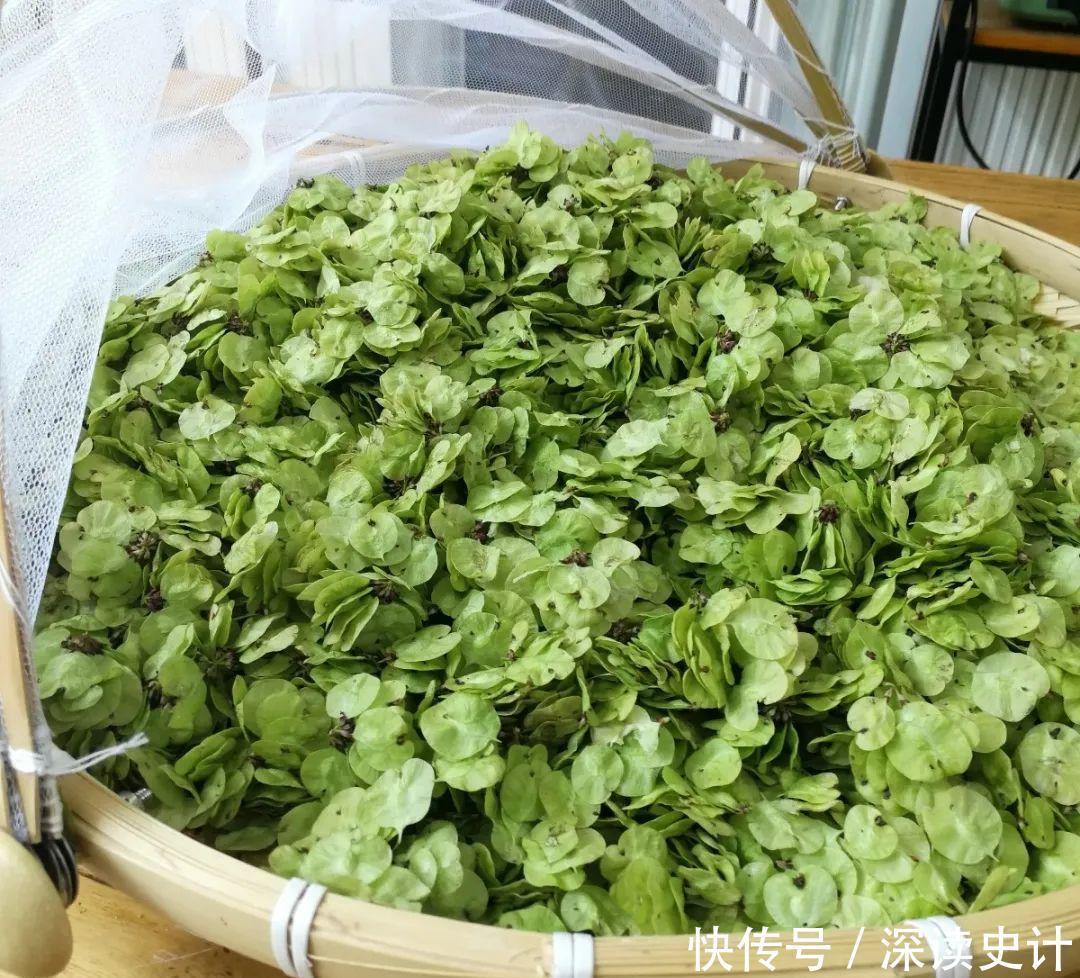 农村的6种花,烙饼子、炒菜、炖汤···再晚没得吃了!