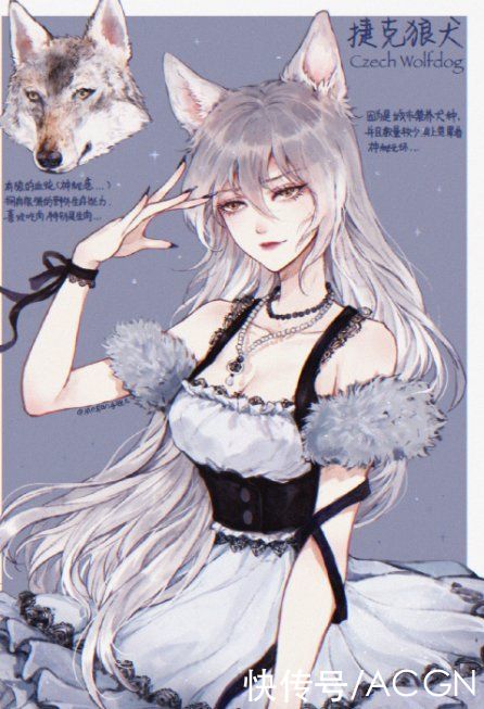 拟人|狗狗化身动漫美少女，萨摩变成白毛御姐，短腿柯基好俏皮